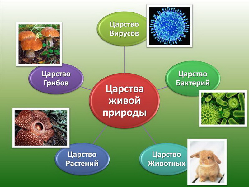 e1fc1fd50b715f77e662df85903b5a7b