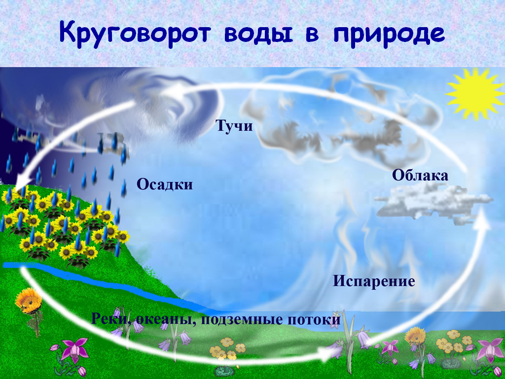 open uri20150909 7816 ahlbyw