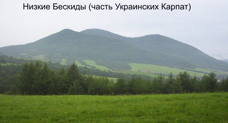 bab2b46859f2b3963a90ff6319986363