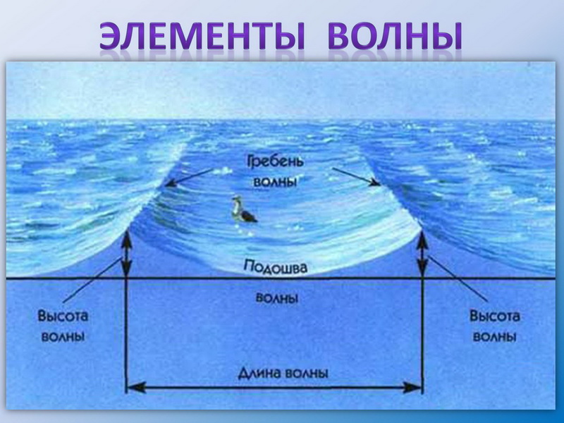 open uri20150909 7816 1eypmkj