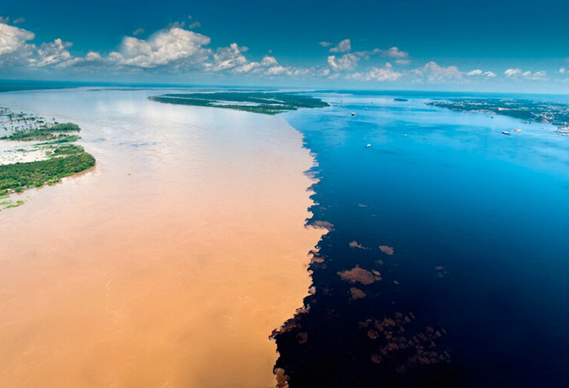 amazon rain forest14