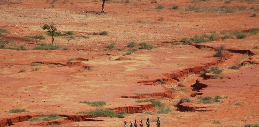 Экологические проблемы: зона Сахеля