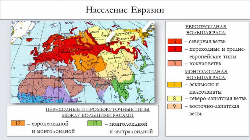 Население материка. Особенности демографических процессов