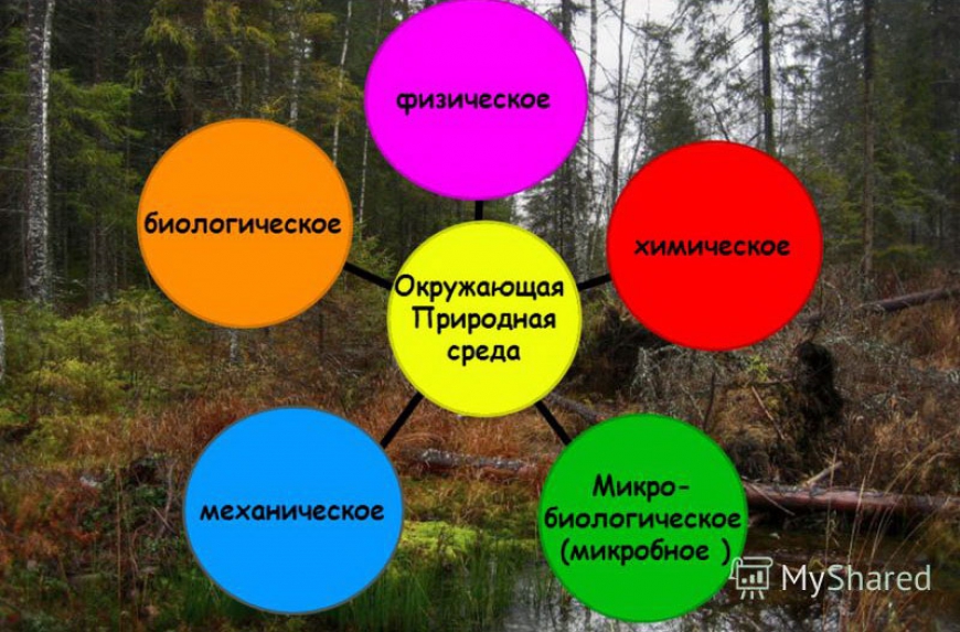 Рекреационные ресурсы и их оценка