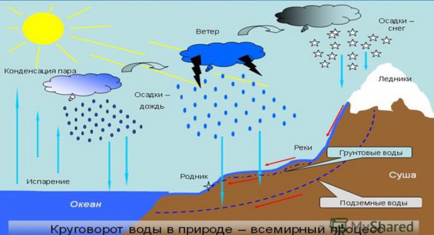 Влажность воздуха: абсолютная и относительная. Атмосферные осадки