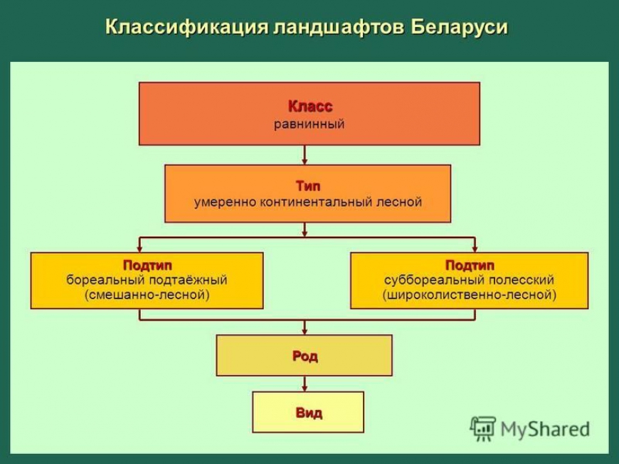 Географические ландшафты