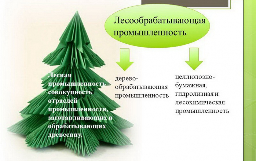 Лесная, деревообрабатывающая и целлюлозно-бумажная промышленность