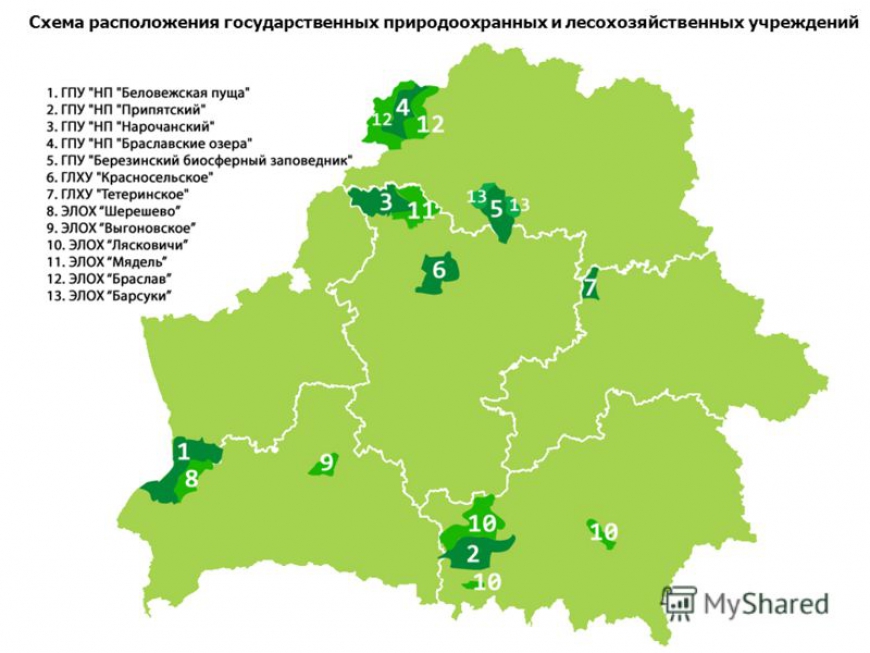 Охрана природы
