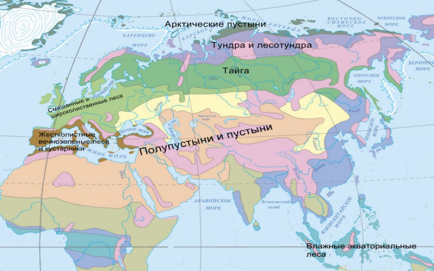 Природные зоны тропического, субэкваториального и экваториального климатических поясов